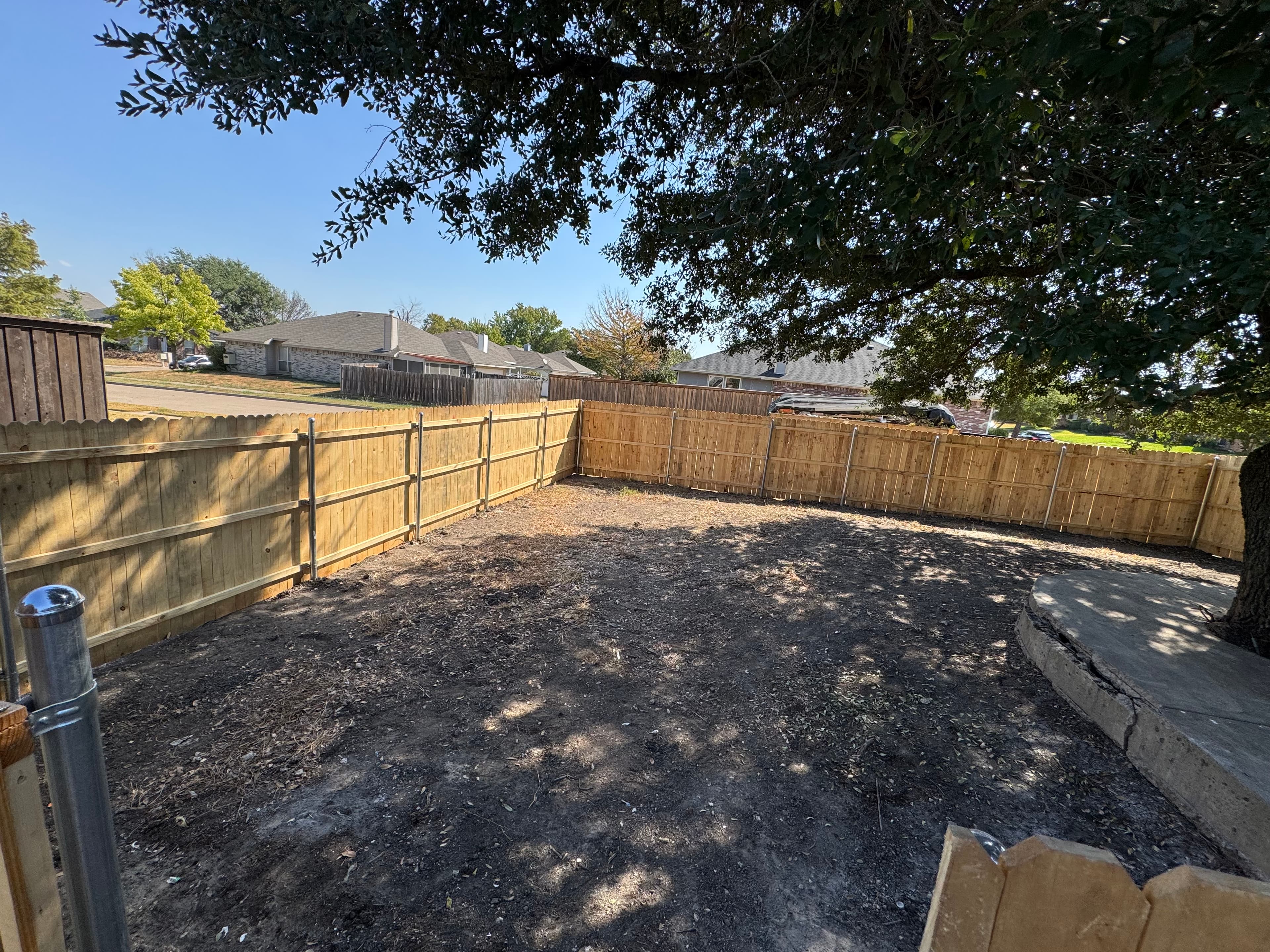 Newly installed wooden fence surrounds a dirt backyard shaded by a large leafy tree.
